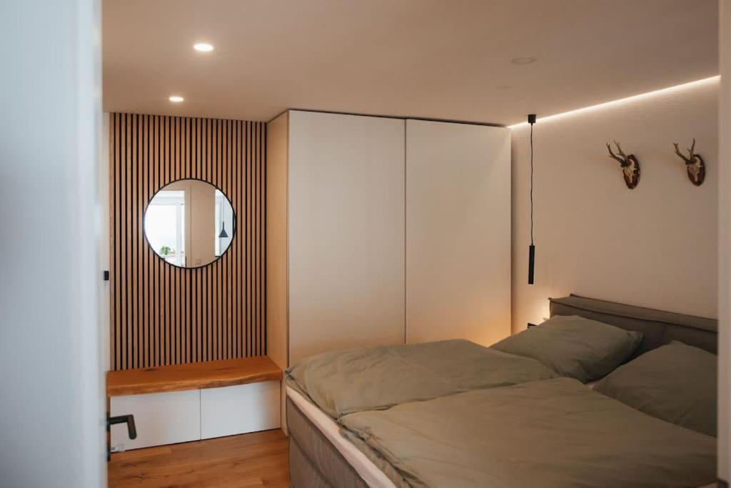 Апартаменты Schwarzwald Loft Менценшванд Экстерьер фото
