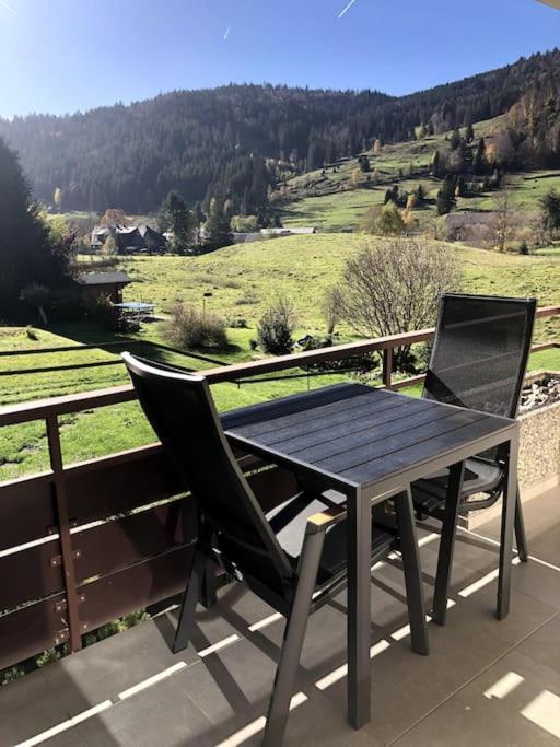 Апартаменты Schwarzwald Loft Менценшванд Экстерьер фото