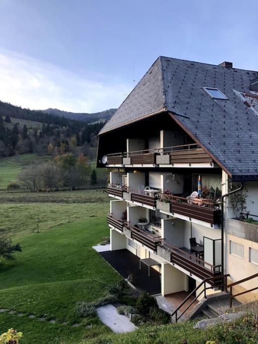 Апартаменты Schwarzwald Loft Менценшванд Экстерьер фото